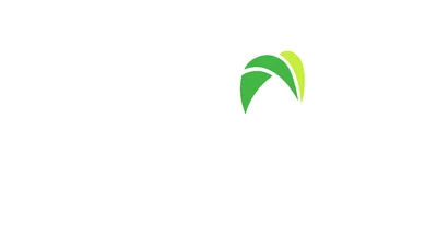 The Villages of Avalon